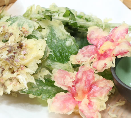 四季折々の山菜の天ぷら。塩かつゆで召し上がれ♪